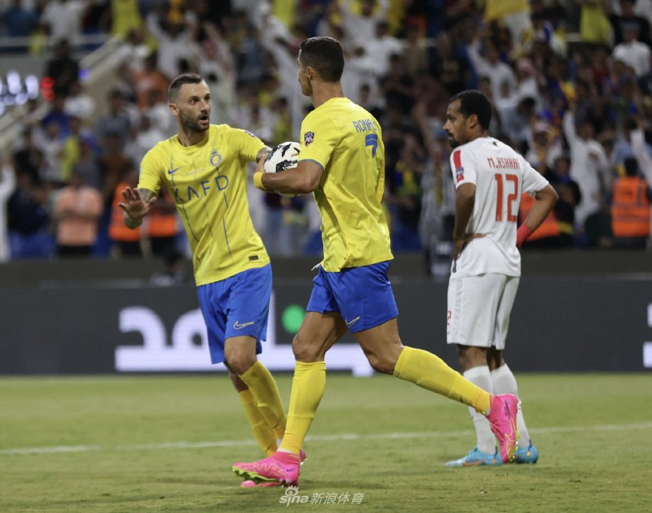 了新的高度 了新的高度